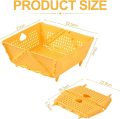 Collapsible filter and colander