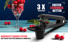 Stainless Steel Cherries Corer Pitter