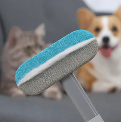 Best-Selling Pet Cleaning Brush