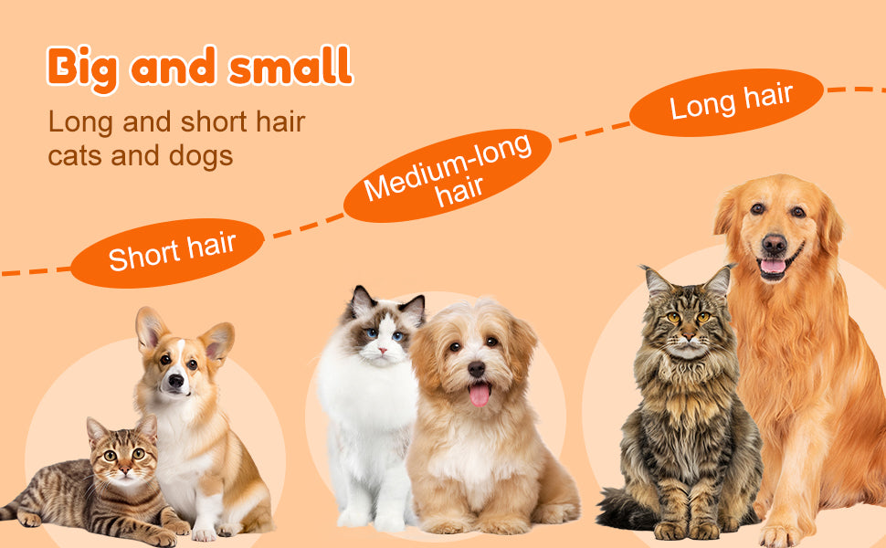 Cat Steam Brush, New 3 in 1 Pet Steam Groomer Brush